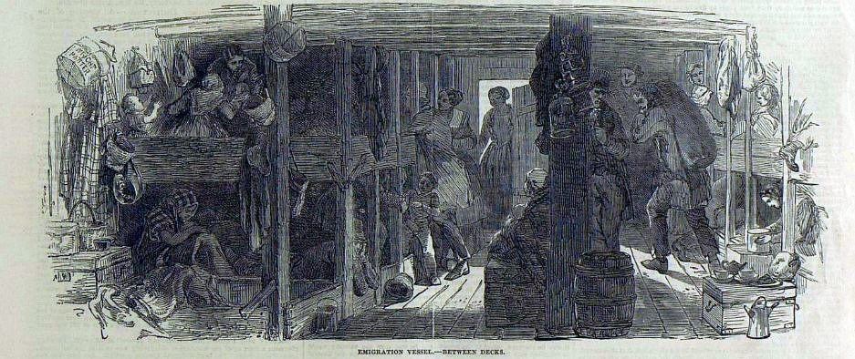 emigrants between decks